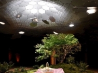 纽约拟建全球首个地下公园 引阳光入地底
