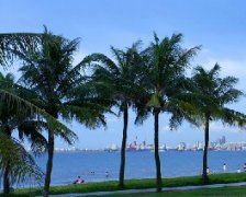 7月海口环境空气质量全国第一