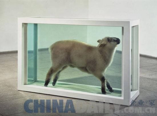 《离群的羔羊》